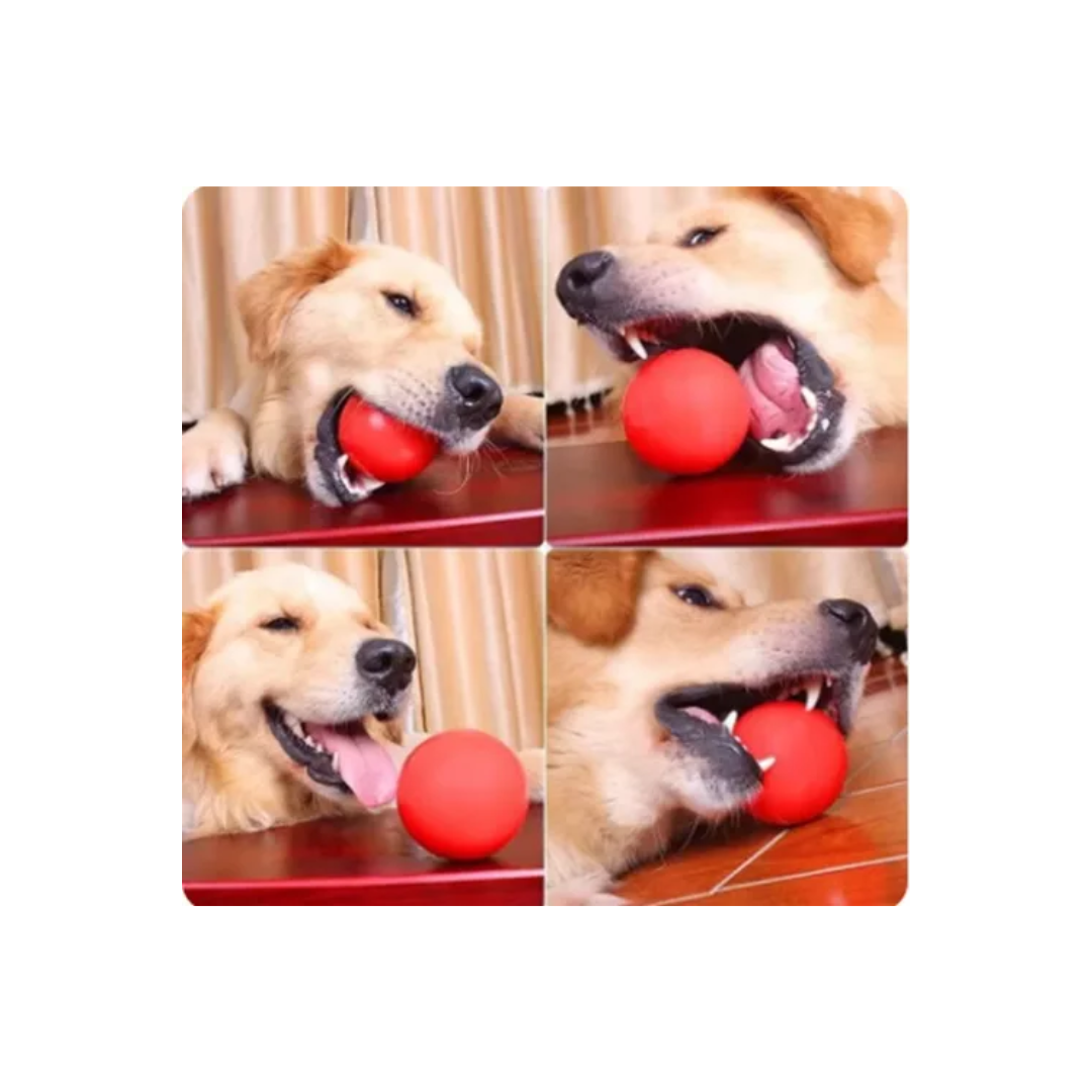 PELOTA DE GOMA SOLIDA