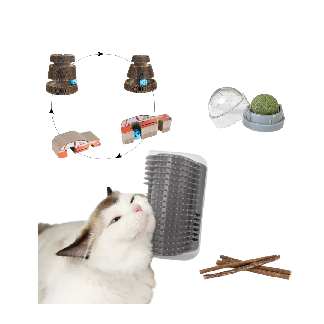 KIT DE ENTRETENIMIENTO GATOS