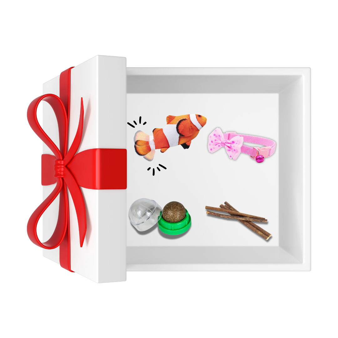 REGALO PARA GATOS