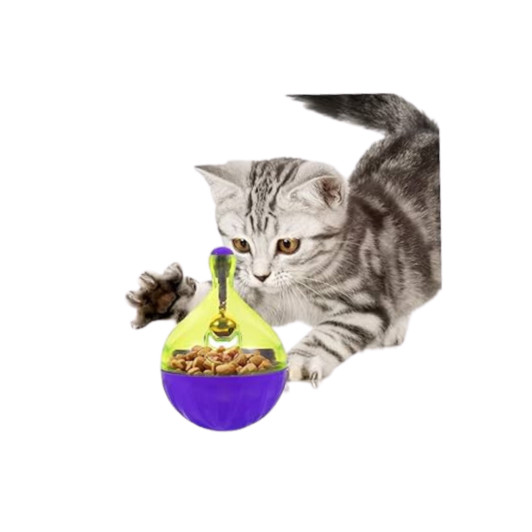 DISPENSADOR DE COMIDA INTERACTIVO