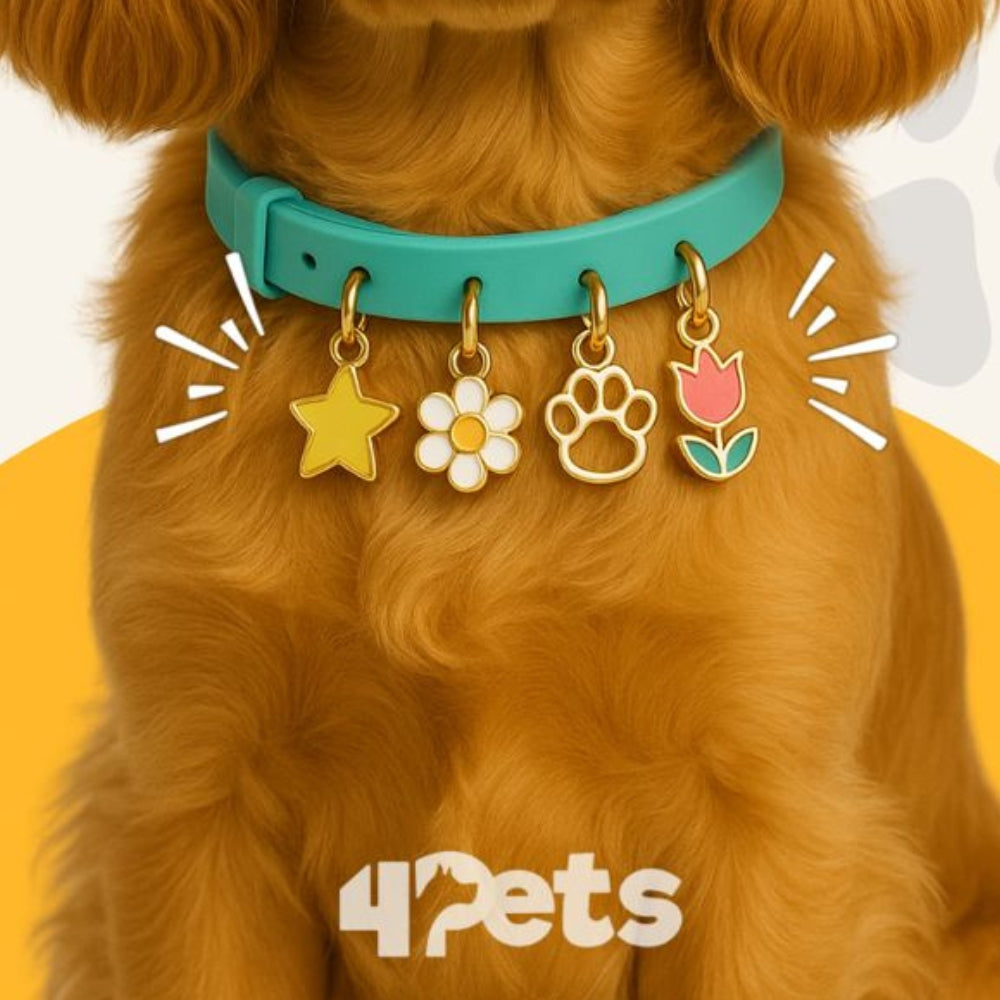 Collar Personalizado