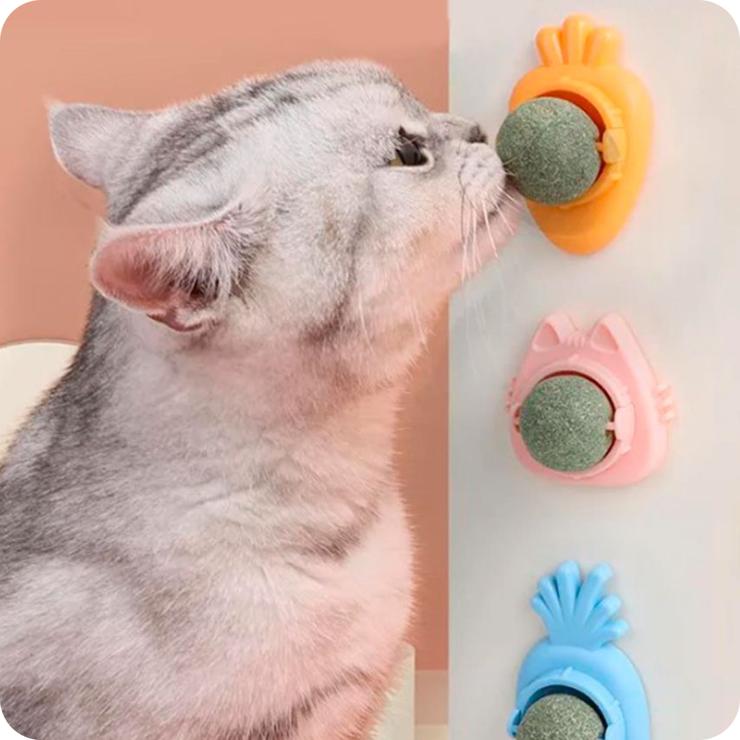 Juguetes para Gatos