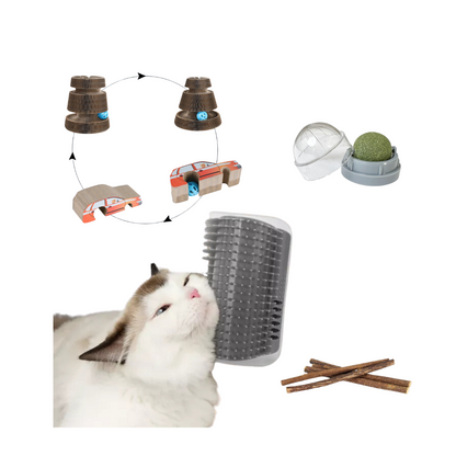 KIT DE ENTRETENIMIENTO GATOS