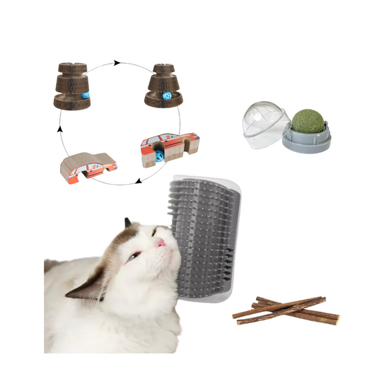 KIT DE ENTRETENIMIENTO GATOS