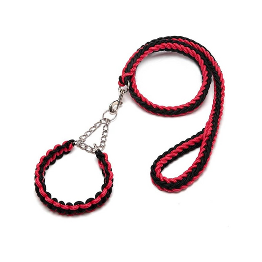 COLLAR Y CORREA TRENZADA 1.2m