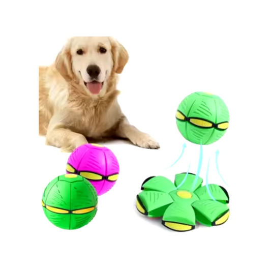 PELOTA SALTARINA