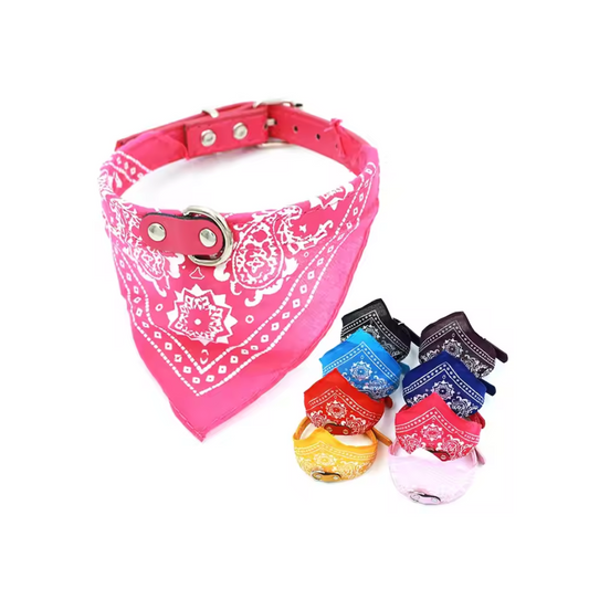 COLLAR PAÑOLETA