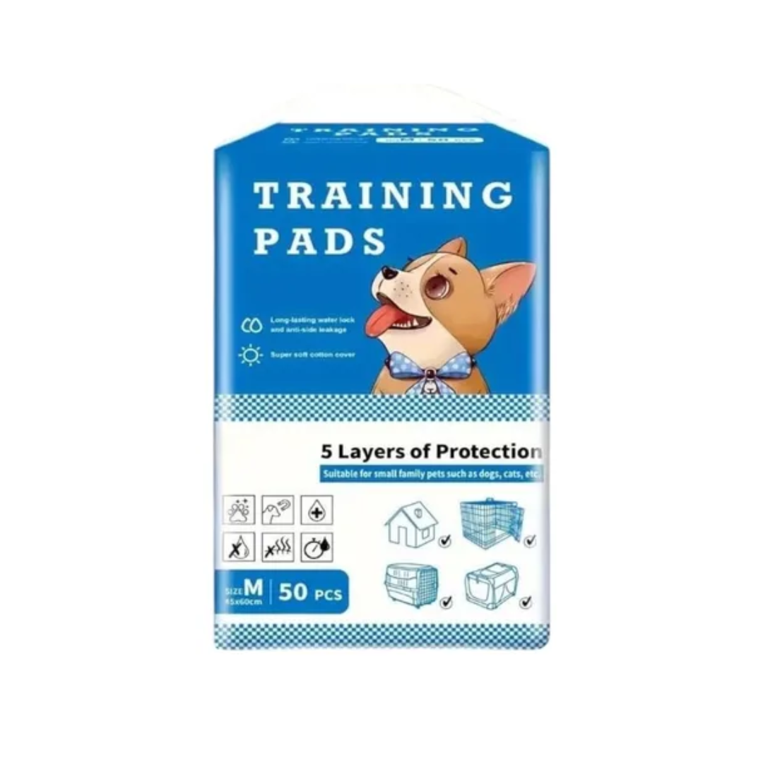 PAD DE ENTRENAMIENTO