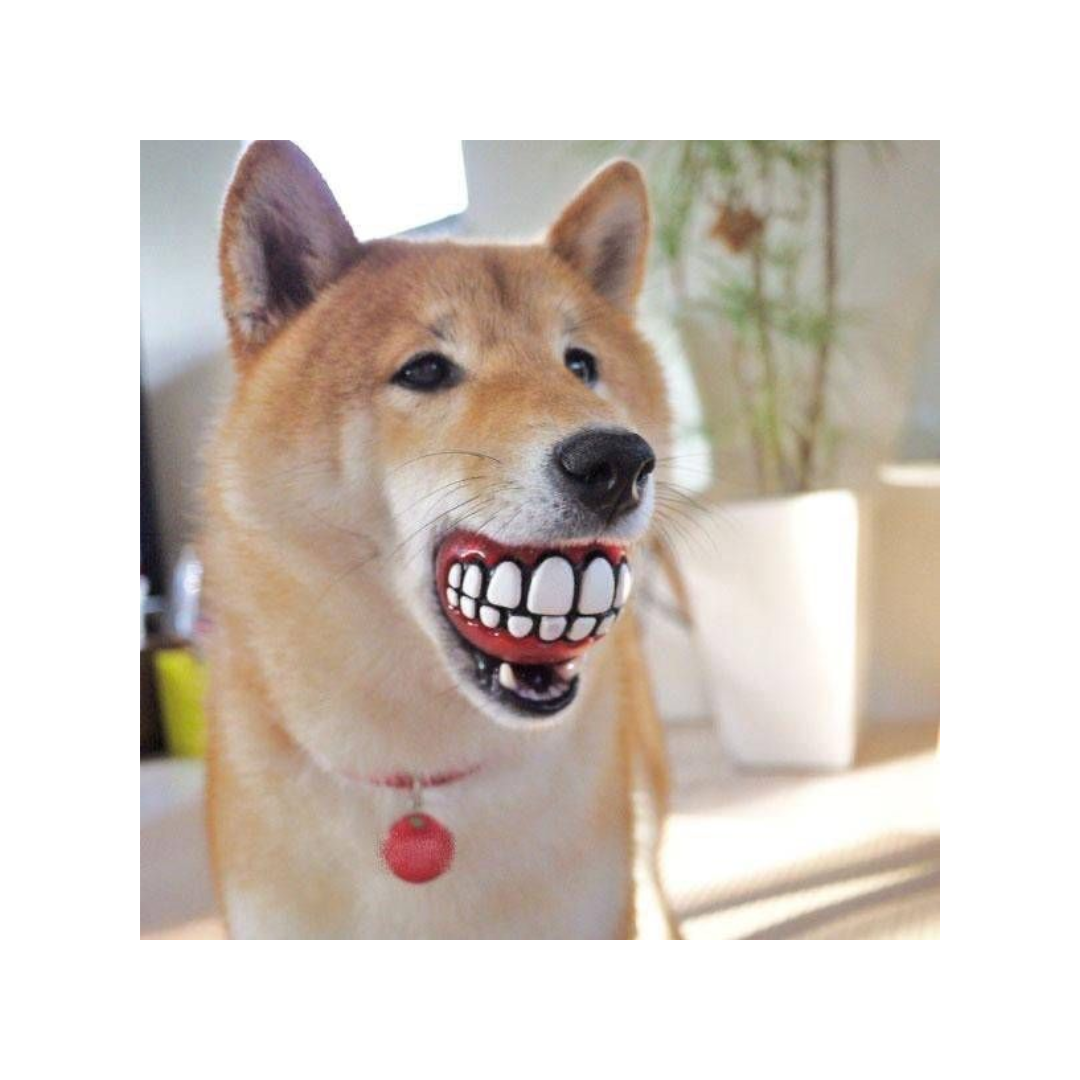 PELOTA CON DISEÑO DE SONRISA