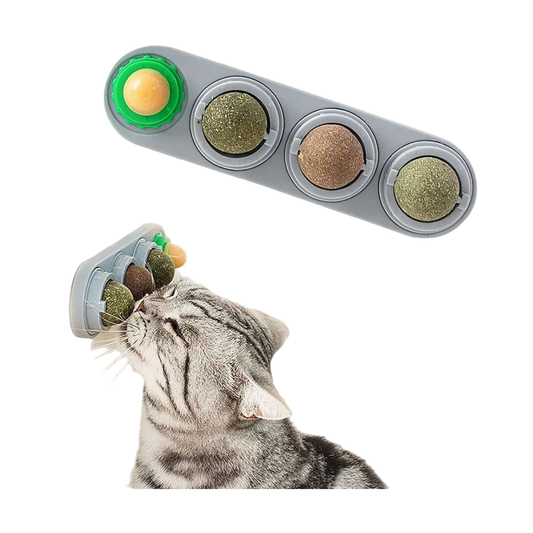 BOLAS DE CATNIP
