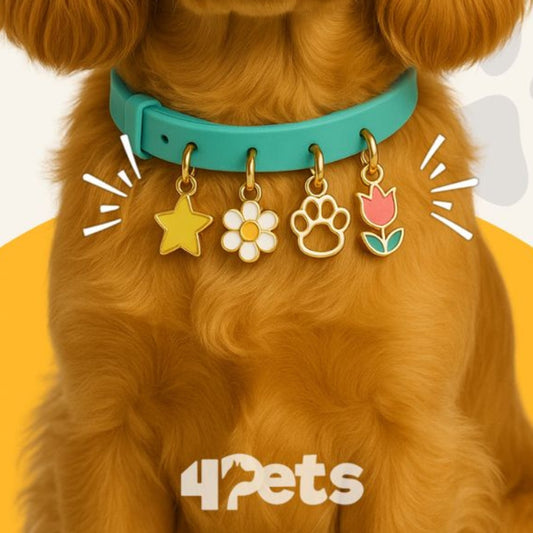 Collar Personalizado