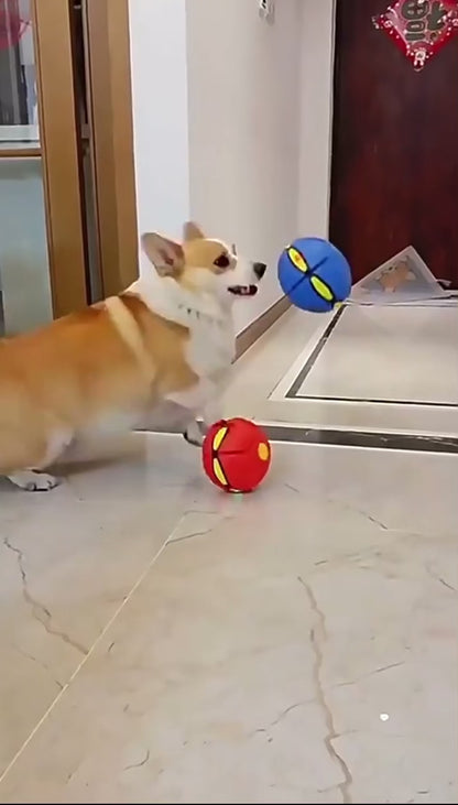 PELOTA SALTARINA
