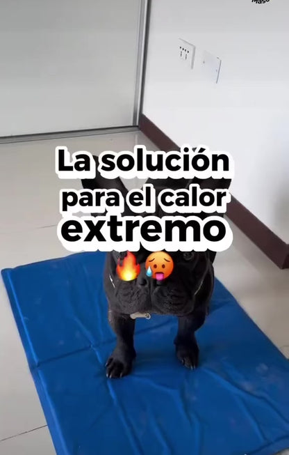 TAPETE FRÍO