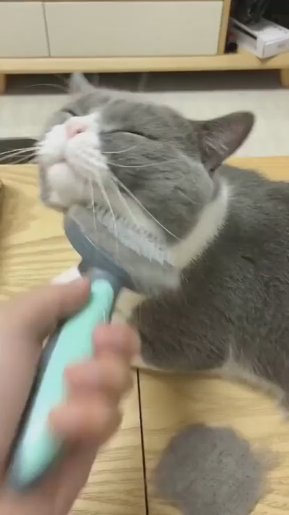 CEPILLO QUITA PELOS