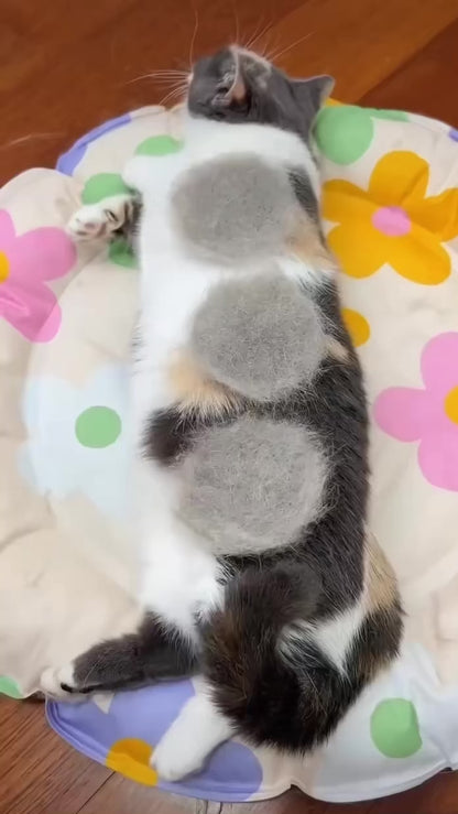 CEPILLO QUITA PELOS